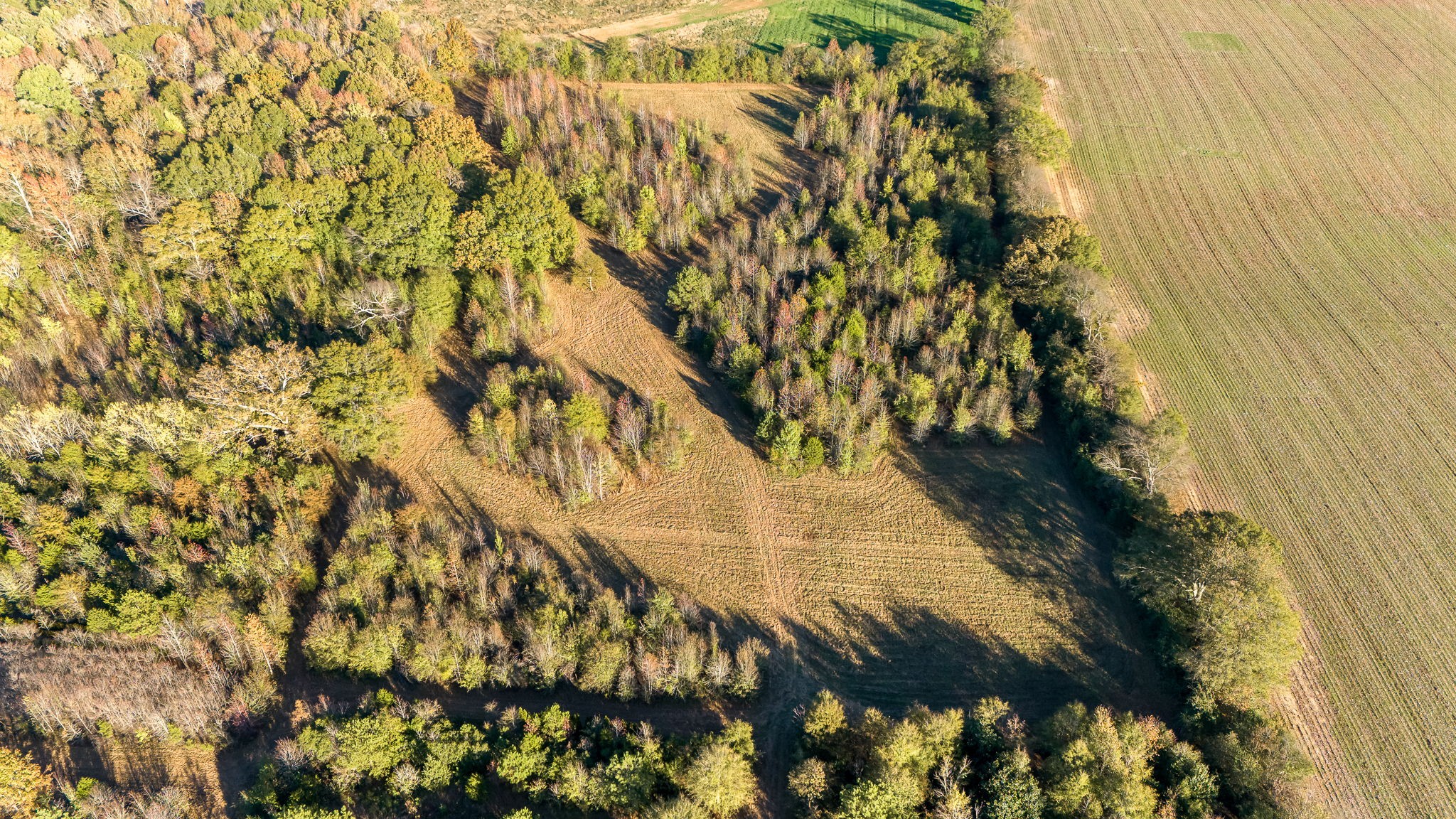 35 County Line Road South Elora, TN 37328 - Photo 20 of 27
