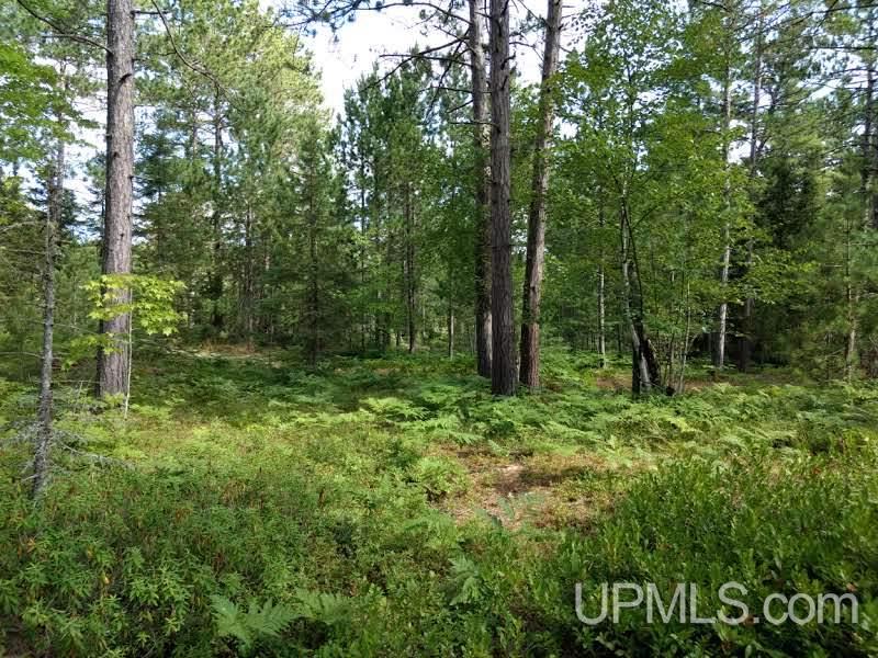 Unit 38-tbd Little Rice Lake Road, Unit 38 Lake Linden, MI 49945 - Photo 16 of 28