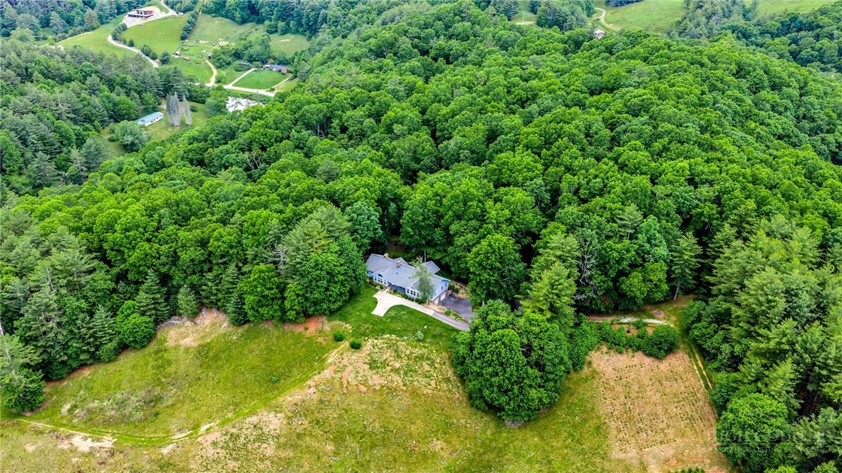 1142 Hartzog Ford Road West Jefferson, NC 28694 - Photo 2 of 47