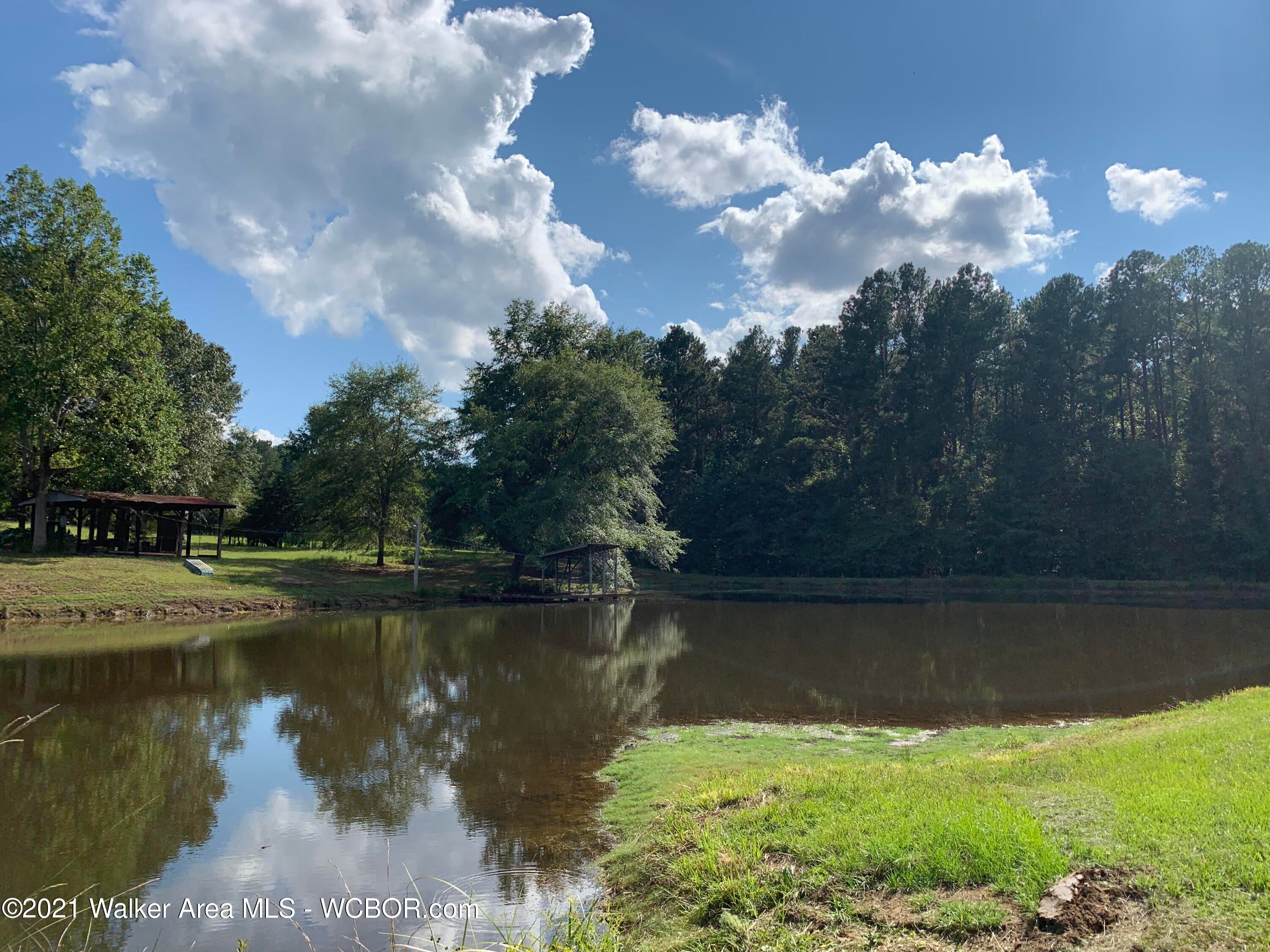 Wright Road Nauvoo, AL 35578 - Photo 3 of 4 Gallery Image 3