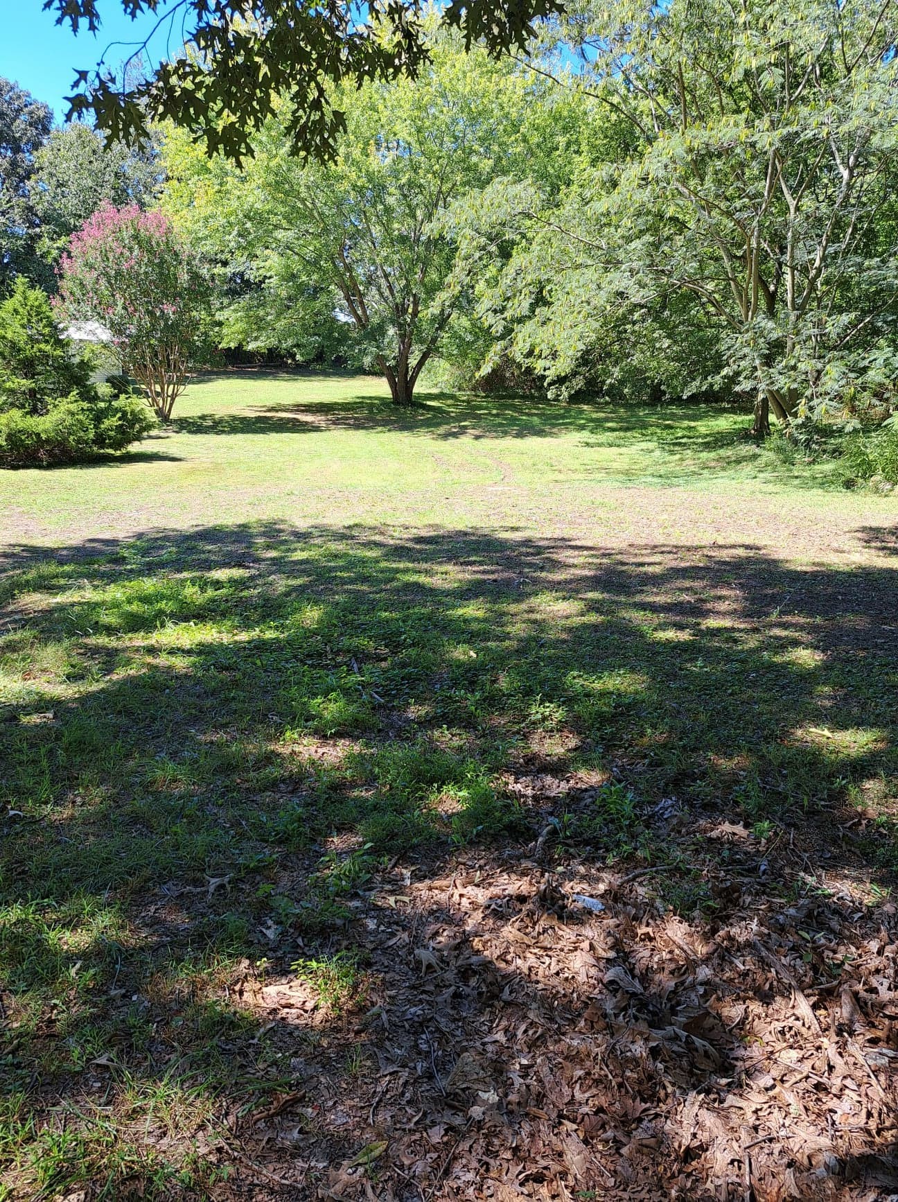 171 Mail Road Hohenwald, TN 38462 - Photo 2 of 31 Gallery Image 2