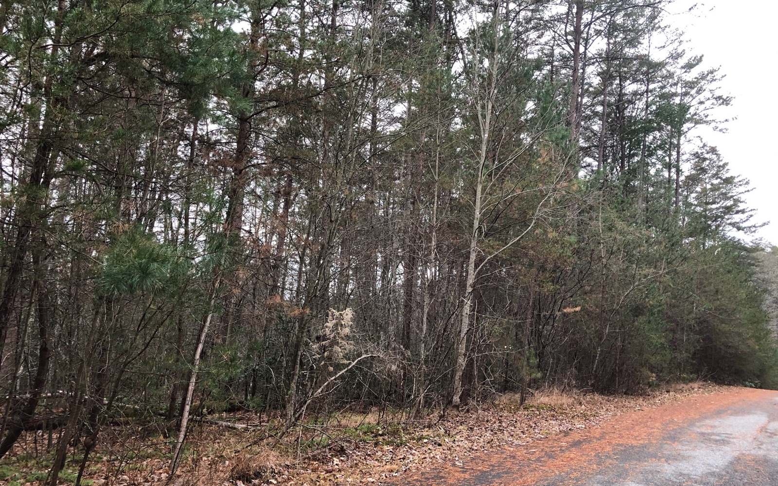 15 Autumn Ridge Mineral Bluff, GA 30559 - Photo 1 of 1 Main View