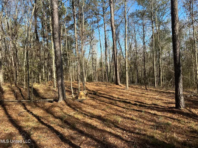 $150,000 | 0 Crooked Creek Road, Silver Creek, MS 39663