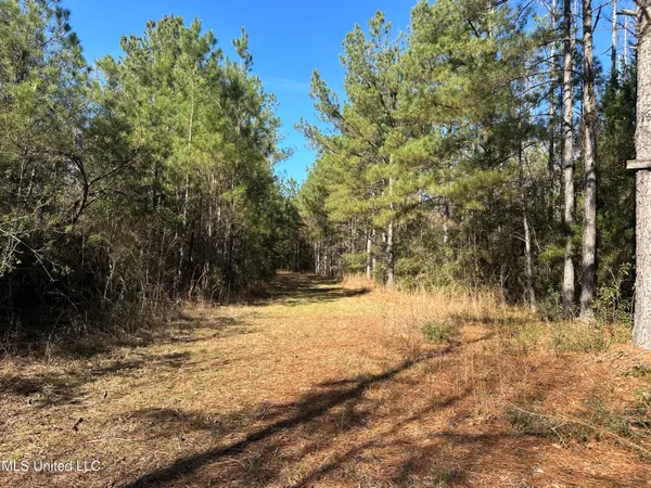$150,000 | 0 Crooked Creek Road, Silver Creek, MS 39663