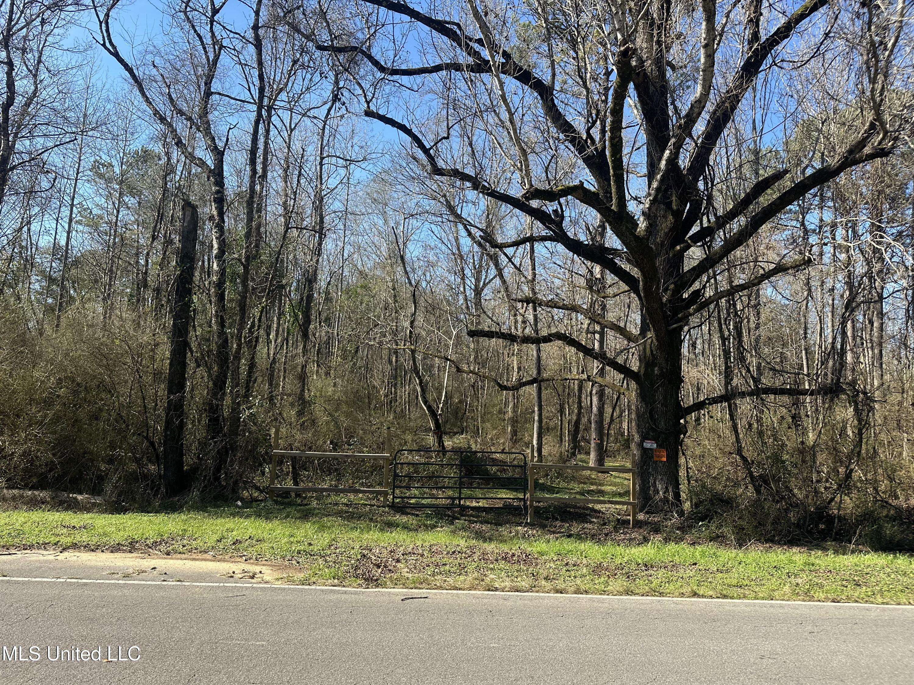 0 Crooked Creek Road Silver Creek, MS 39663 - Photo 4 of 14 Photo Jan 16 2026, 1 10 18 PM