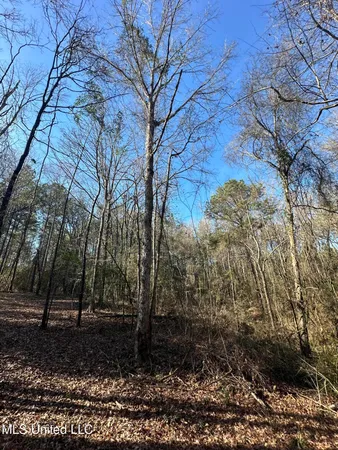 $150,000 | 0 Crooked Creek Road, Silver Creek, MS 39663