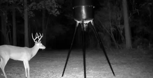 $150,000 | 0 Crooked Creek Road, Silver Creek, MS 39663