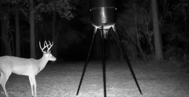 $150,000 | 0 Crooked Creek Road, Silver Creek, MS 39663