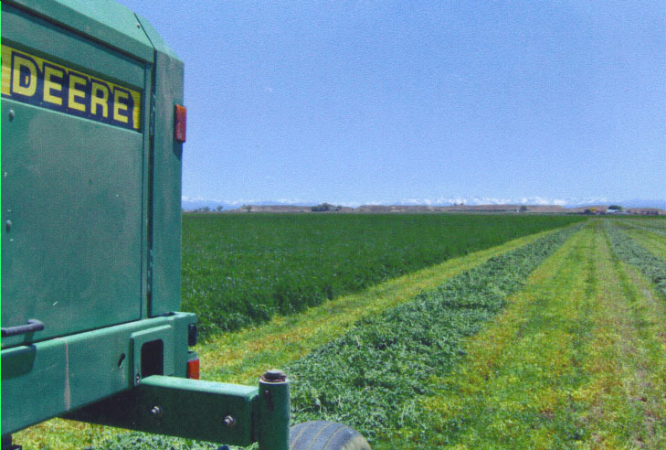 62676 Ida Road Montrose, CO 81401 - Photo 8 of 9 a view of a green field with clear sky