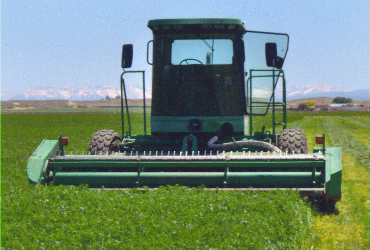 62676 Ida Road Montrose, CO 81401 - Photo 9 of 9 a front view of a house with a garden and fence
