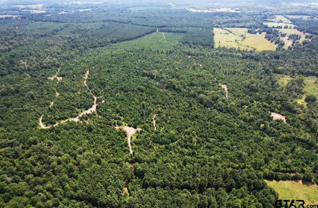 a view of a lush green field