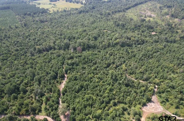 a view of a green field