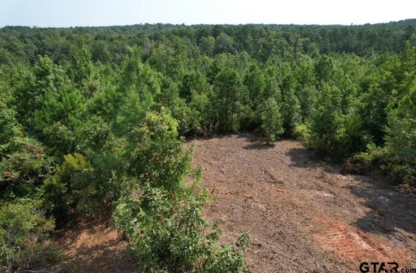 $927,000 | 3163 Laneville Tx 75667, Mount Enterprise, TX 75681