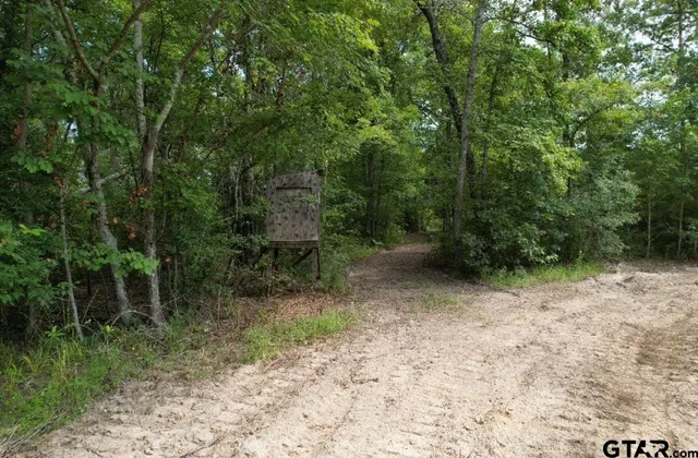 a view of a road with a trees