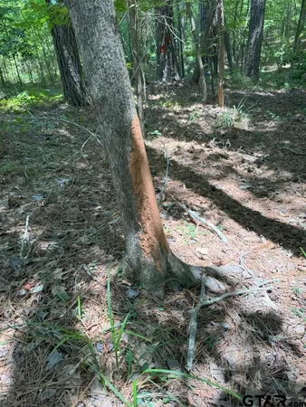 $927,000 | 3163 Laneville Tx 75667, Mount Enterprise, TX 75681