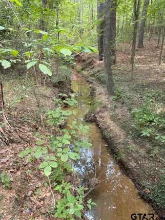 $927,000 | 3163 Laneville Tx 75667, Mount Enterprise, TX 75681