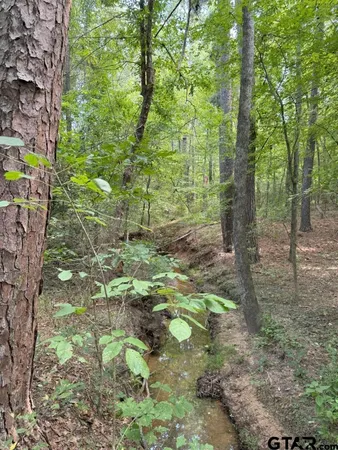 $927,000 | 3163 Laneville Tx 75667, Mount Enterprise, TX 75681