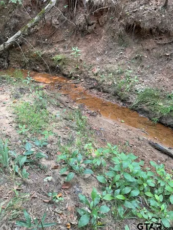 $927,000 | 3163 Laneville Tx 75667, Mount Enterprise, TX 75681