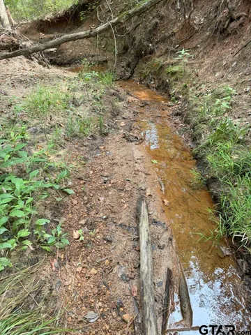 a view of beach and ocean