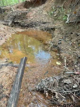 $927,000 | 3163 Laneville Tx 75667, Mount Enterprise, TX 75681