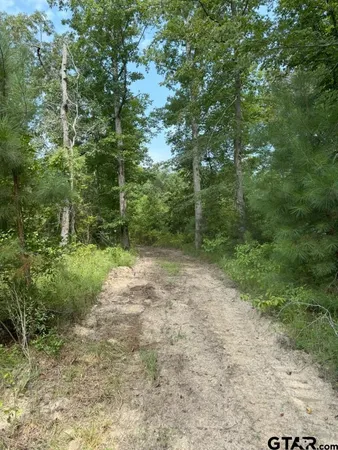 $927,000 | 3163 Laneville Tx 75667, Mount Enterprise, TX 75681