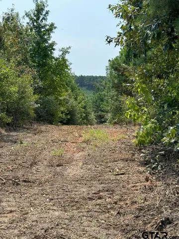 a view of dirt field with trees in the background