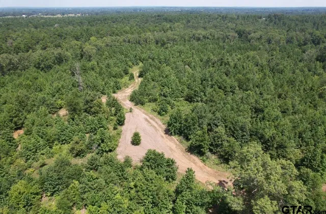 a view of a forest with a houses