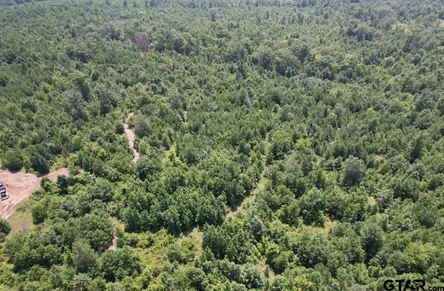 an aerial view of residential house with outdoor space
