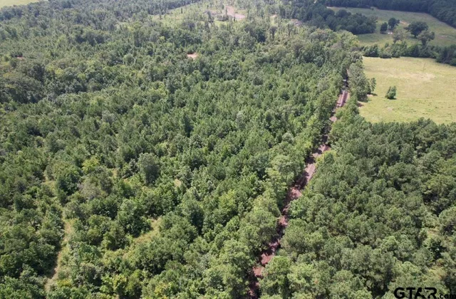 a view of a pathway with a yard