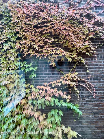 $2,700 | 202 Warren Street, Unit 2, Hudson, NY 12534