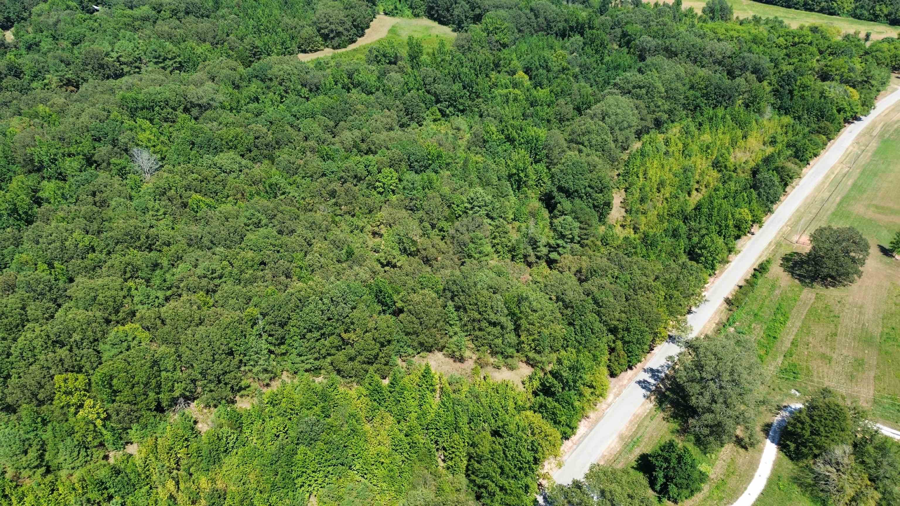 2730 Price Road Moscow, TN 38057 - Photo 3 of 5 an aerial view of residential house with outdoor space and trees all around