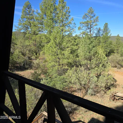 a view of a yard with large trees