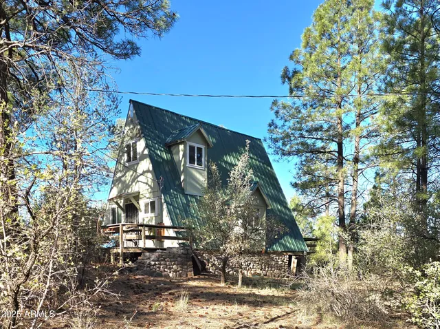 a view of a forest with a tree