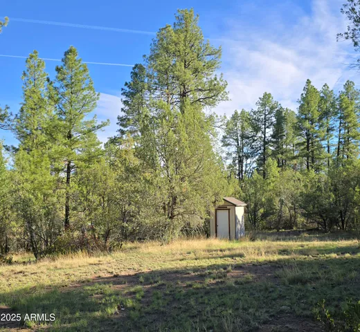 $275,000 | 7426 West Forest Service Road 512, Young, AZ 85554