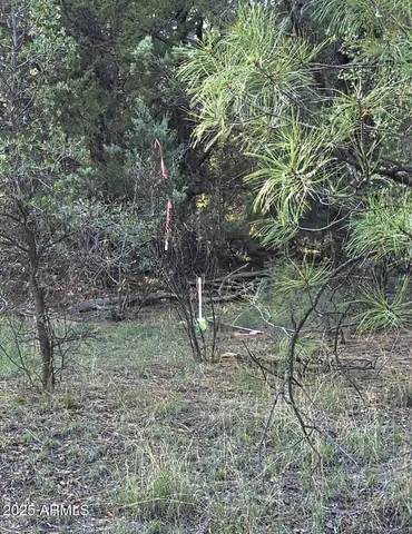 $275,000 | 7426 West Forest Service Road 512, Young, AZ 85554