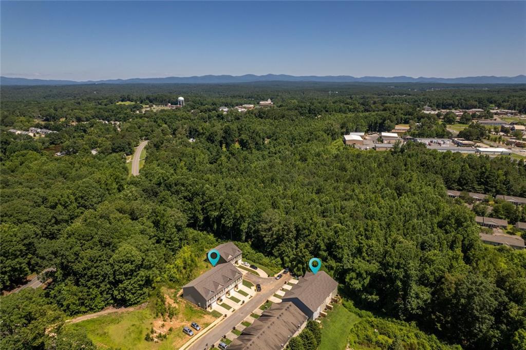 2707 Hickory Lane Dawsonville, GA 30534 - Photo 7 of 31