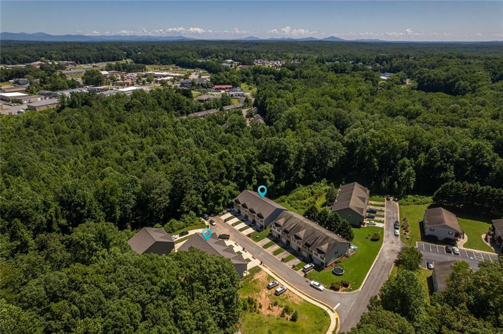 2707 Hickory Lane Dawsonville, GA 30534 - Photo 9 of 31 an aerial view of multiple houses with yard