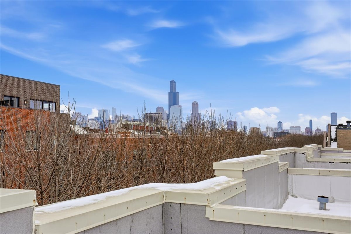 1443 West Fillmore Street Chicago, IL 60607 - Photo 37 of 43