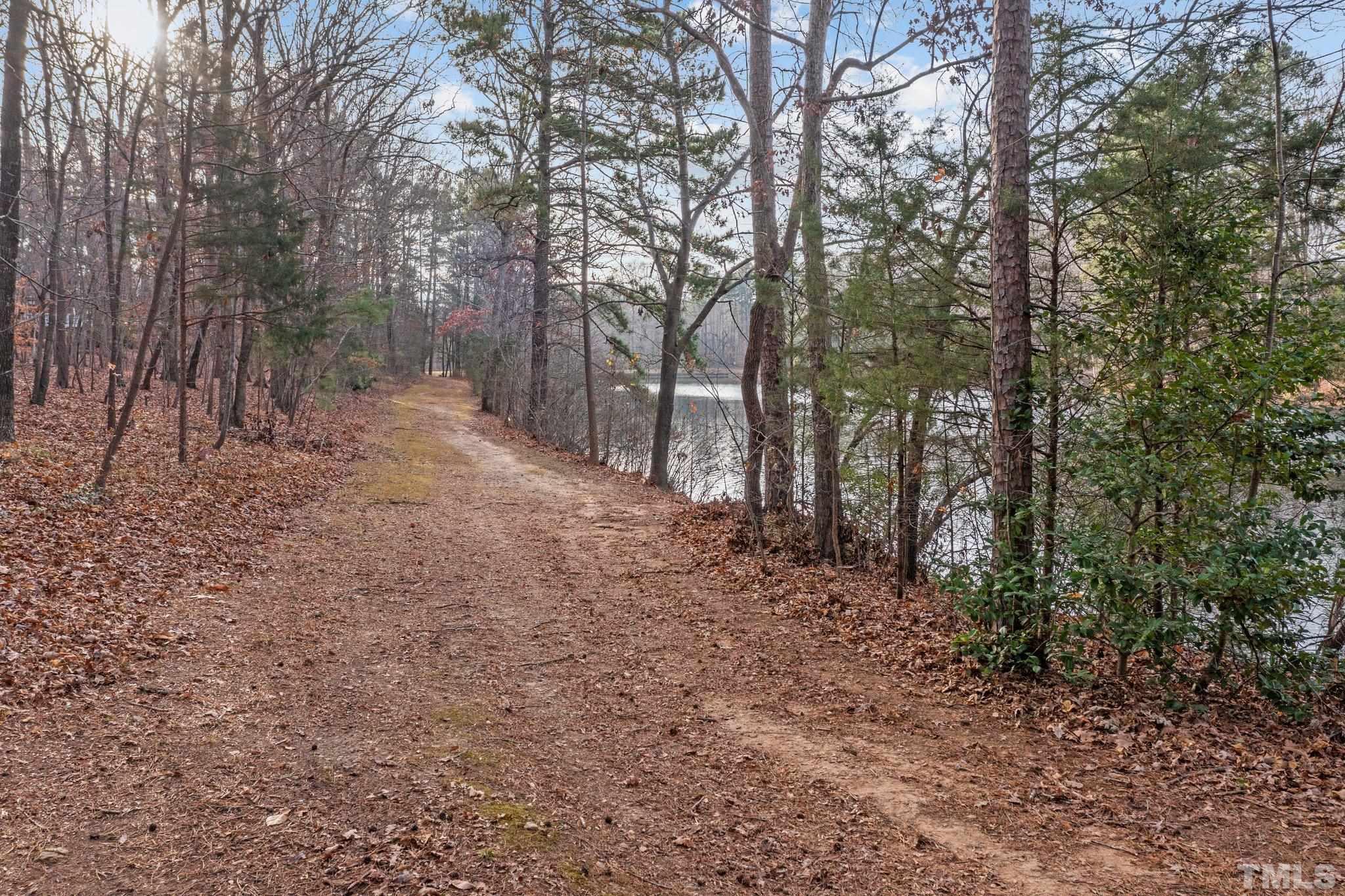 7829 Breckon Way Raleigh, NC 27615 - Photo 31 of 40 a view of a forest with trees in the background