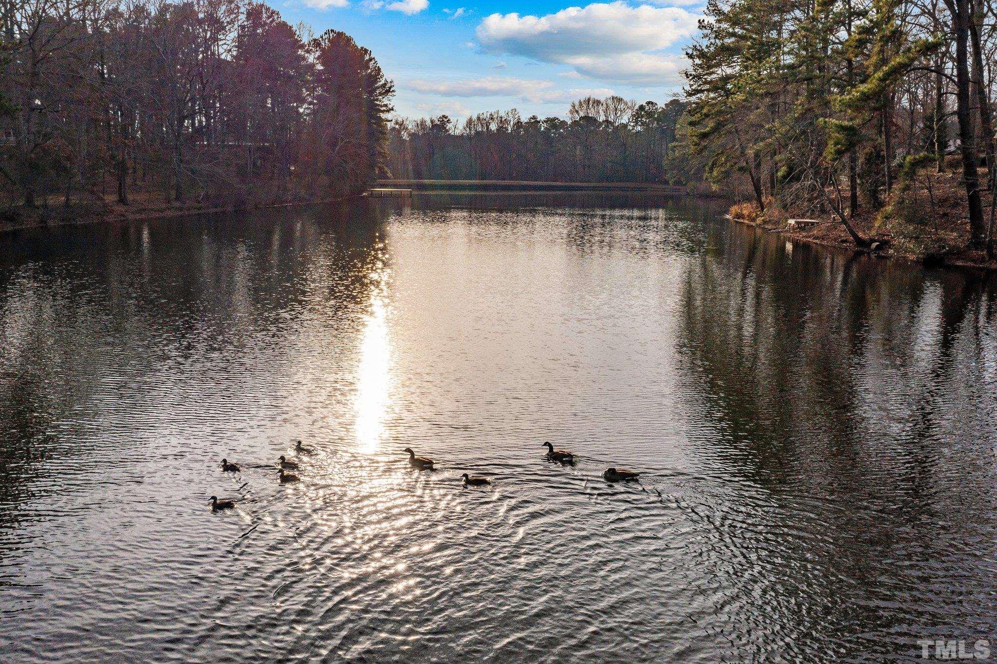 7829 Breckon Way Raleigh, NC 27615 - Photo 34 of 40 a view of a lake view