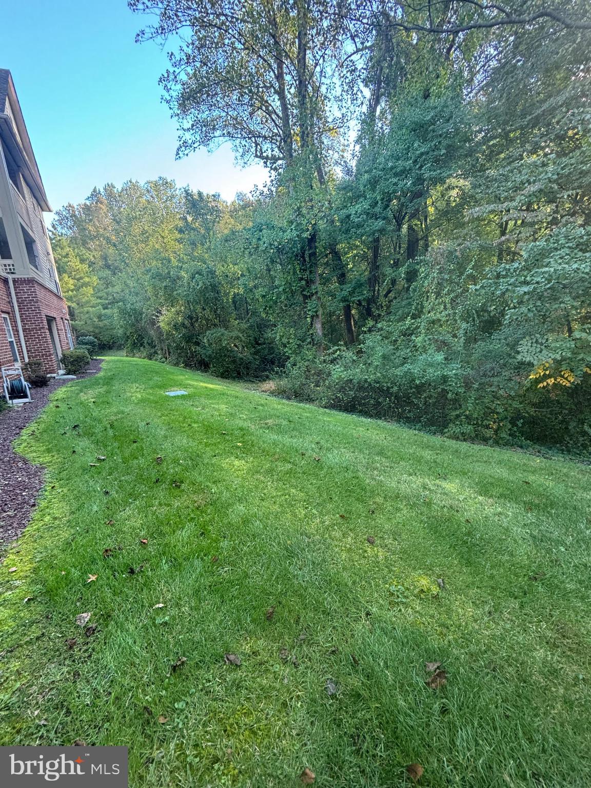 307 Tall Pines Court, Unit 3 Abingdon, MD 21009 - Photo 49 of 52 a view of a lush green space