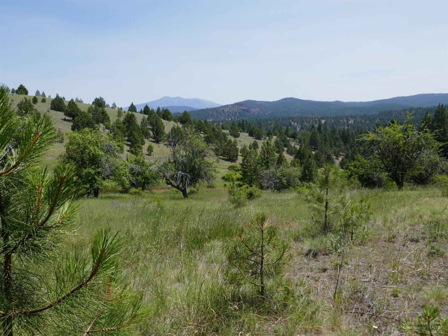 24838 Nans Rock Road Mount Vernon, OR 97865 - Photo 17 of 19 Additional Photo