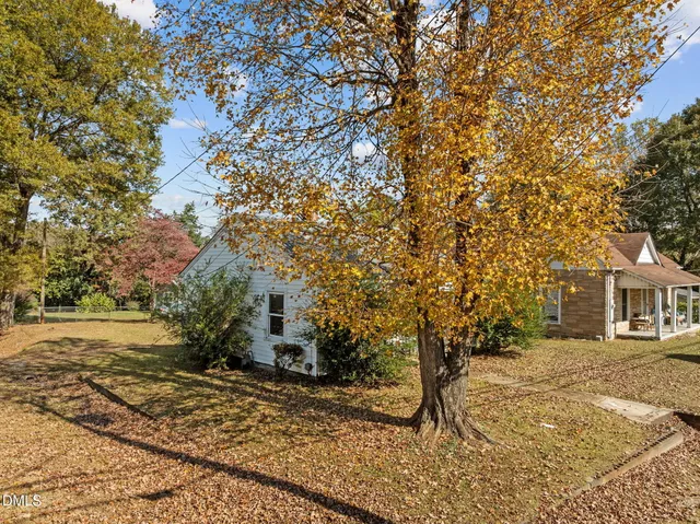 a view of a yard with plants and trees