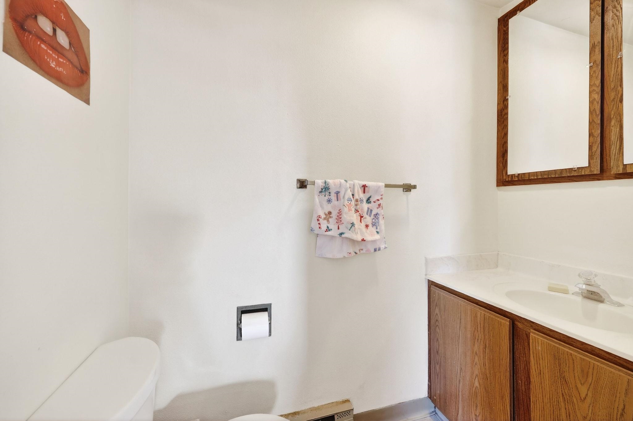 316 South Brooks Street Madison, WI 53715 - Photo 38 of 85