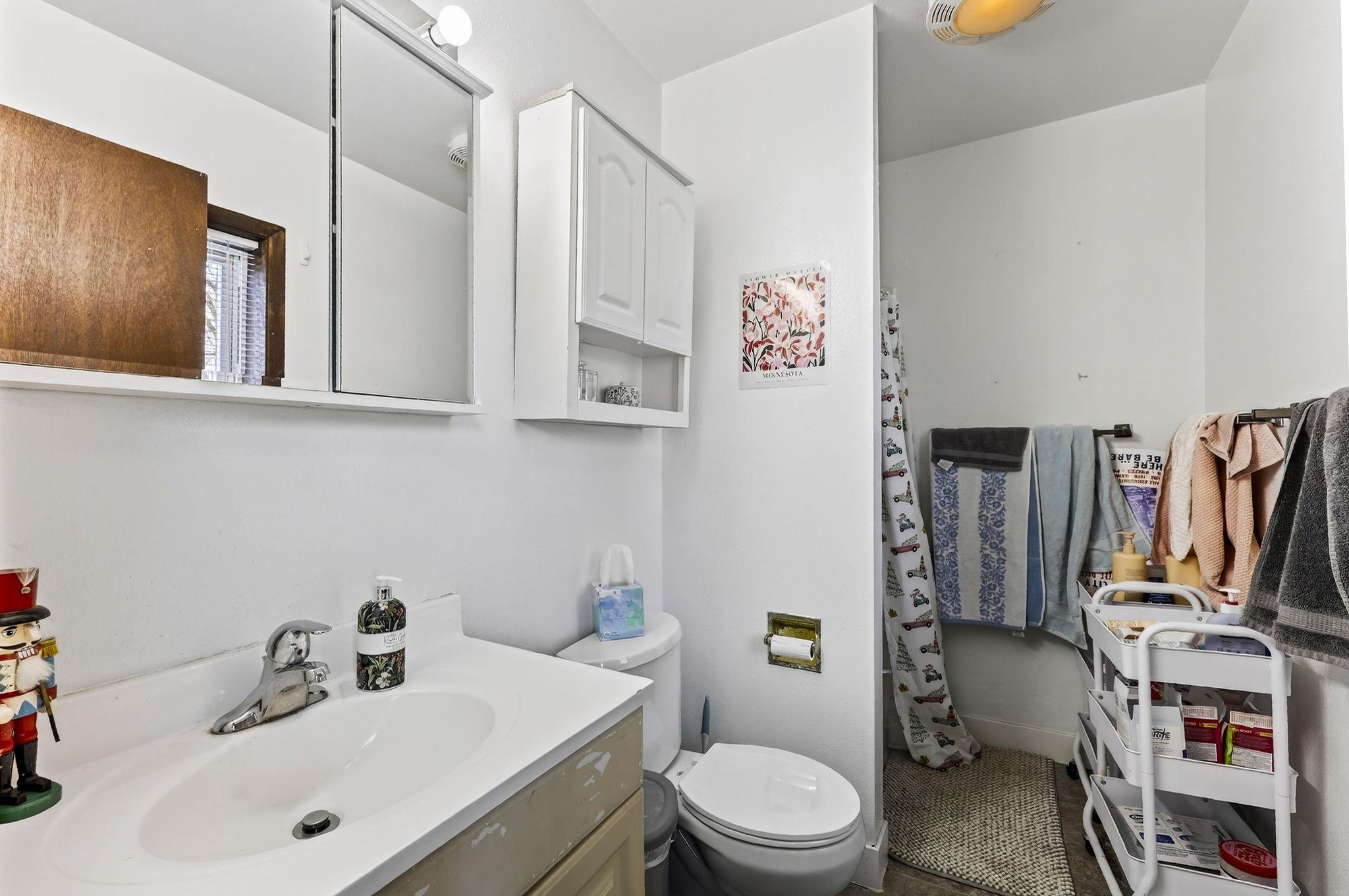 316 South Brooks Street Madison, WI 53715 - Photo 49 of 85