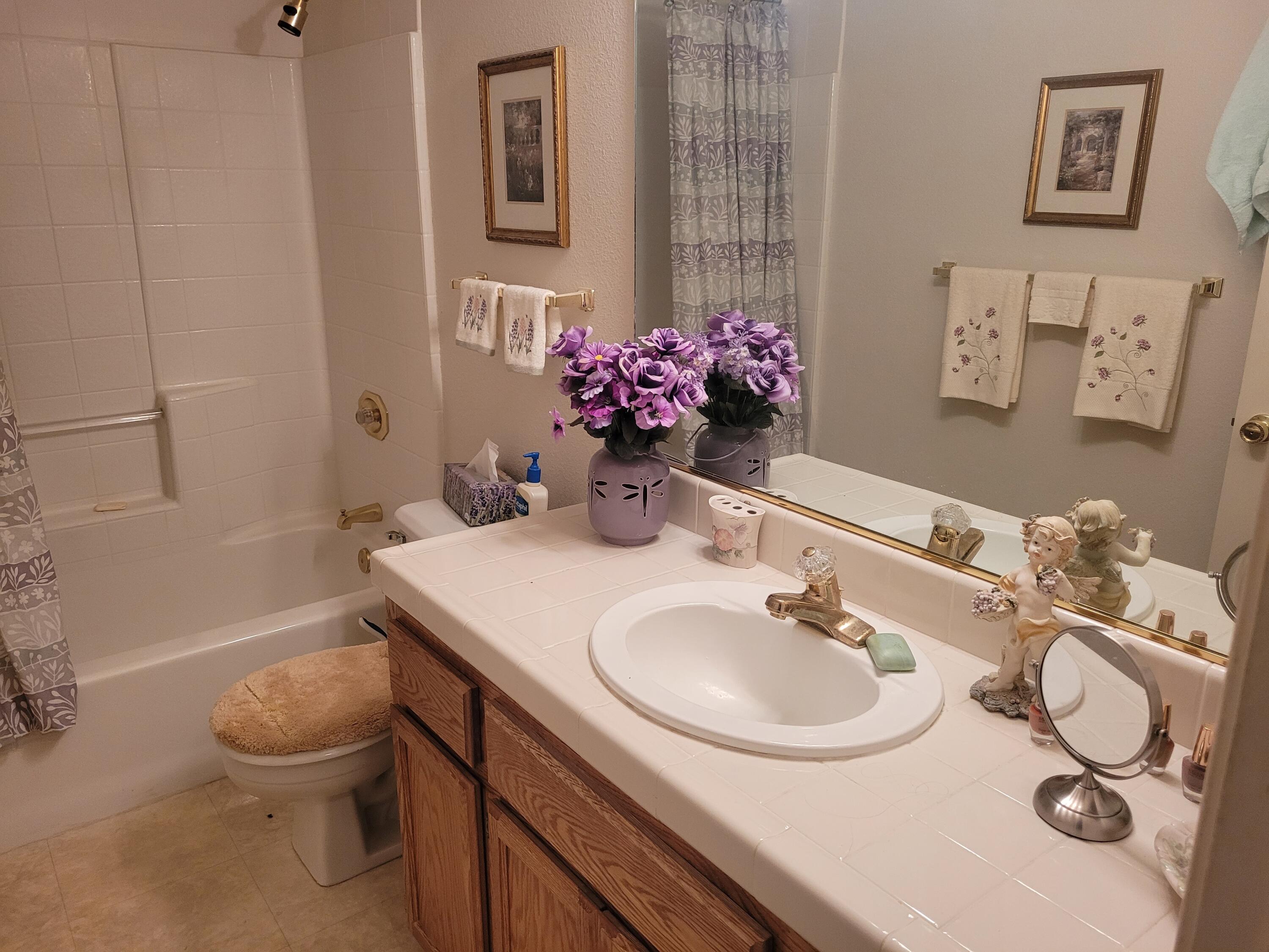 4979 Tralee Lane Redding, CA 96001 - Photo 11 of 19 a bathroom with a sink toilet and a mirror