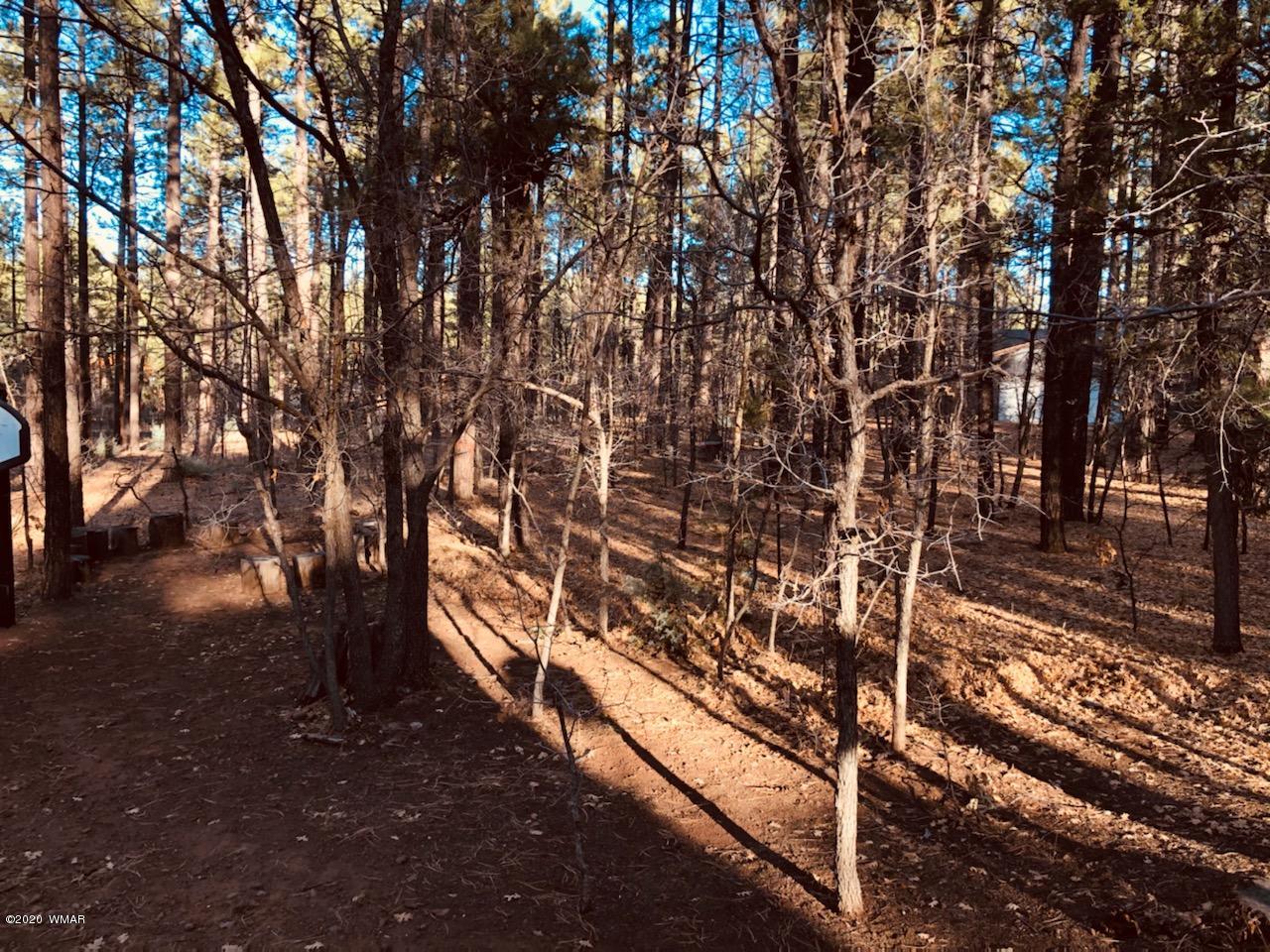 2772 Gooseberry Road Pinetop, AZ 85935 - Photo 17 of 22 Gallery Image 17