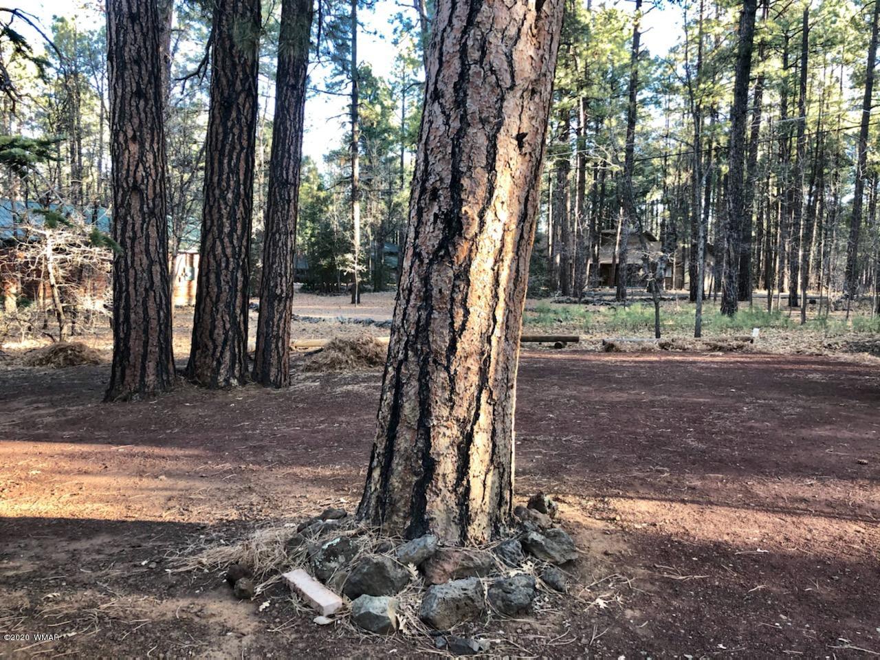 2772 Gooseberry Road Pinetop, AZ 85935 - Photo 21 of 22 Gallery Image 21