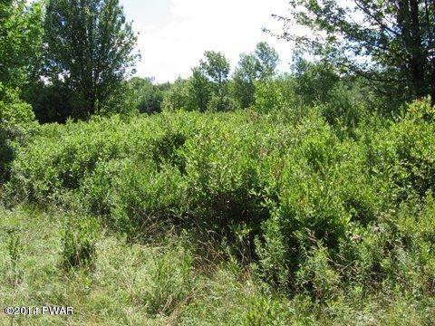 75 Beech Road Equinunk, PA 18417 - Photo 10 of 13