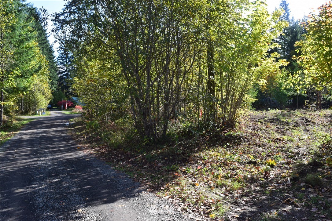 147-26 26 Morris Road Randle, WA 98377 - Photo 11 of 23 Gallery Image 11